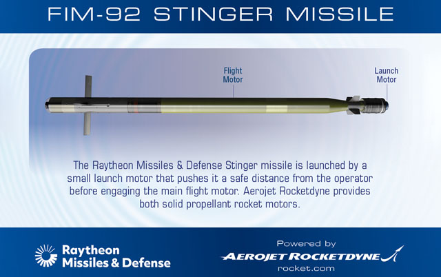 Stinger Infographic